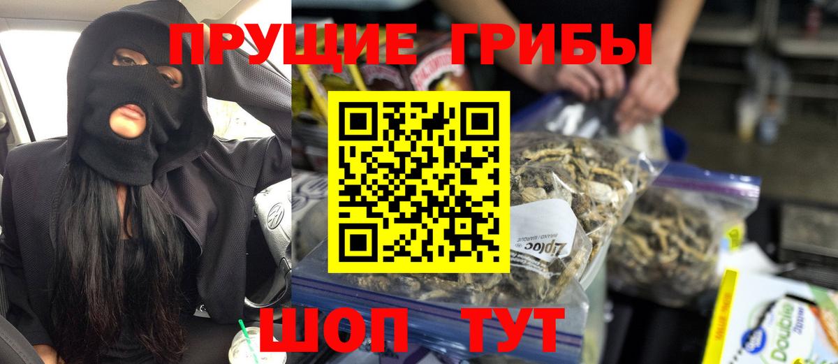 цена наркотик  Галлюциногенные грибы мухоморы  Александров  Вход с VPN  Галлюциногенные грибы Psilocybine cubensis 